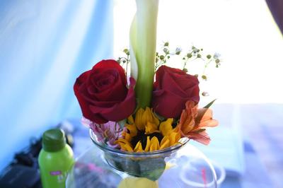 3a Mik Donna Wedding Ceremony Gathering (02c) [PF]