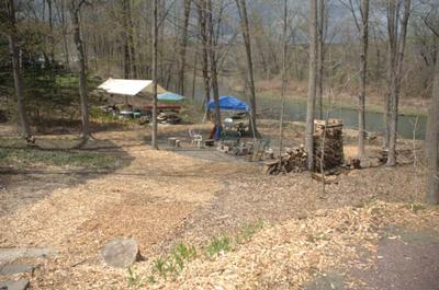 2014 50th Bday Backyard